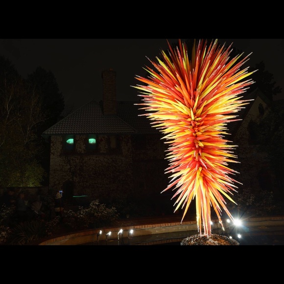 Meet your Posher, Dharma - Picture 7 of 7